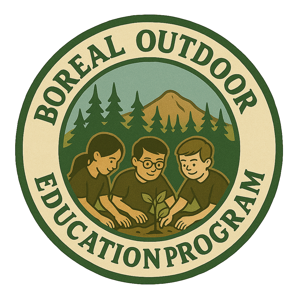 Boreal Program Logo