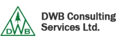 DWB Consulting